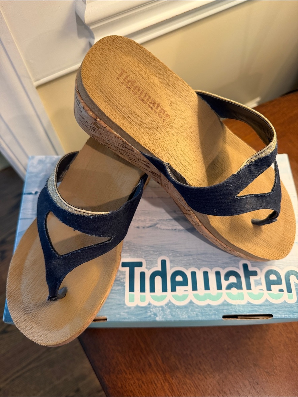 Tidewater Navy Suede Wedge Thong Sandals